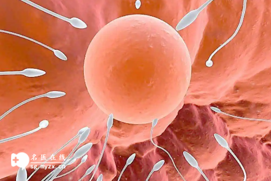 备孕必知!女性排卵期会出现的七大症状,把握黄金时间轻松怀上宝宝